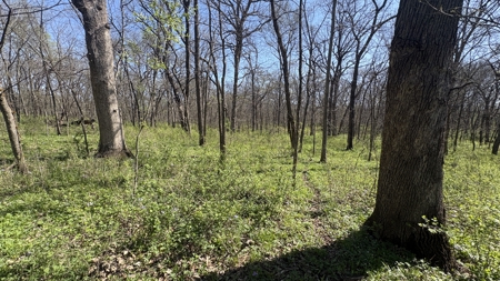 Hunting, Row Crop & CRP near Eagleville, MO - image 28