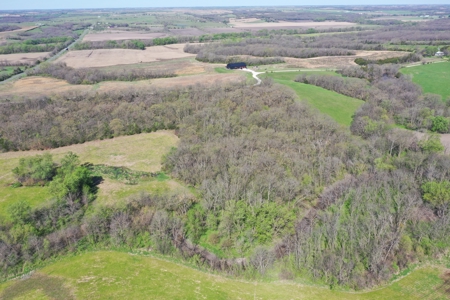 Hunting, Row Crop & CRP near Eagleville, MO - image 9