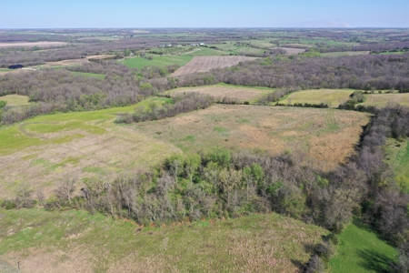 Hunting, Row Crop & CRP near Eagleville, MO - image 4
