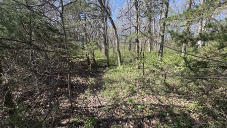 Hunting, Row Crop & CRP near Eagleville, MO - image 22