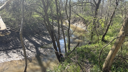 Hunting, Row Crop & CRP near Eagleville, MO - image 34