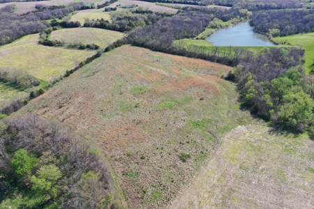 Hunting, Row Crop & CRP near Eagleville, MO - image 18