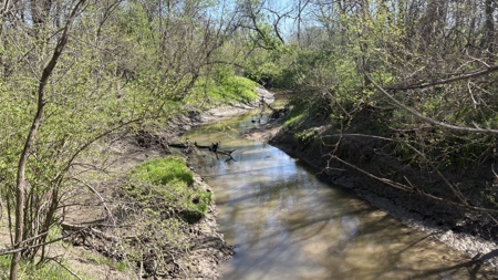 Hunting, Row Crop & CRP near Eagleville, MO - image 36