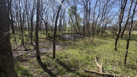 Hunting, Row Crop & CRP near Eagleville, MO - image 30
