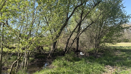 Hunting, Row Crop & CRP near Eagleville, MO - image 38