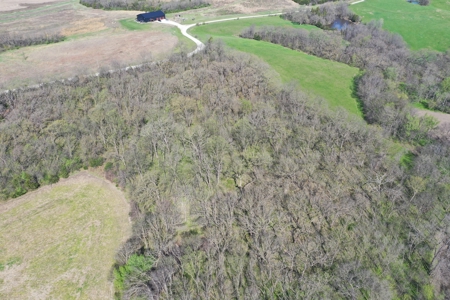Hunting, Row Crop & CRP near Eagleville, MO - image 12