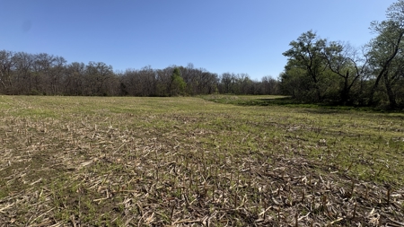 Hunting, Row Crop & CRP near Eagleville, MO - image 21