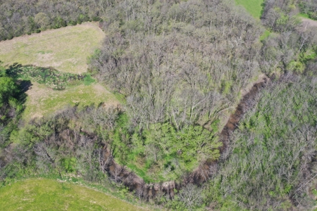 Hunting, Row Crop & CRP near Eagleville, MO - image 10