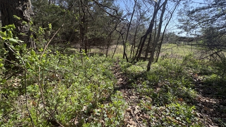 Hunting, Row Crop & CRP near Eagleville, MO - image 27