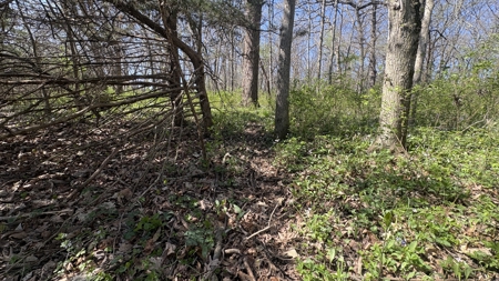 Hunting, Row Crop & CRP near Eagleville, MO - image 23