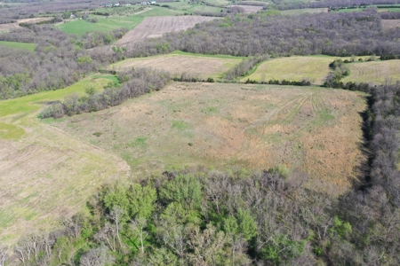 Hunting, Row Crop & CRP near Eagleville, MO - image 5