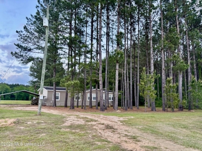 Country Home in Salem School District Walthall Co MS - image 3