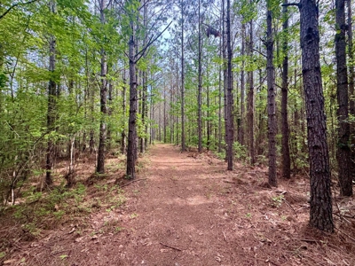 Private +/- 62.2 Acres with Shop, Utilities & Prime Hunting - image 19