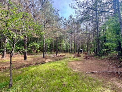 Private +/- 62.2 Acres with Shop, Utilities & Prime Hunting - image 24