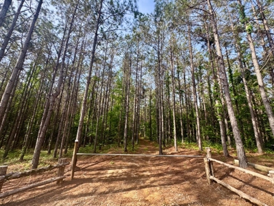 Private +/- 62.2 Acres with Shop, Utilities & Prime Hunting - image 17