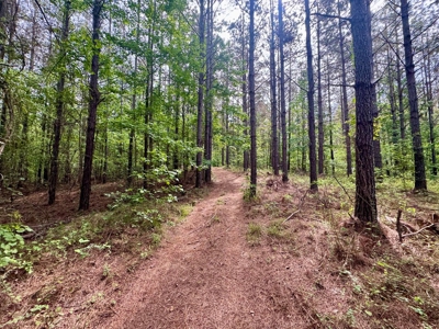 Private +/- 62.2 Acres with Shop, Utilities & Prime Hunting - image 31