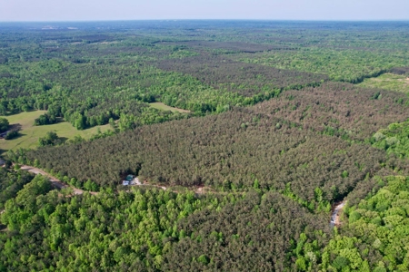 Private +/- 62.2 Acres with Shop, Utilities & Prime Hunting - image 48