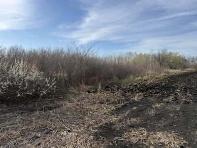 Nebraska Hunting Property For Sale - image 15