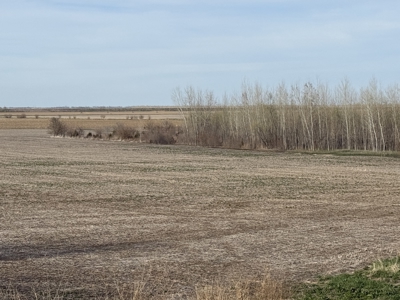 Nebraska Hunting Property For Sale - image 19