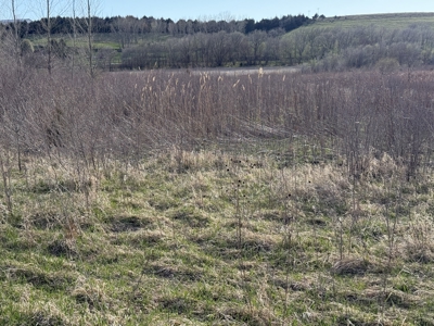 Nebraska Hunting Property For Sale - image 10