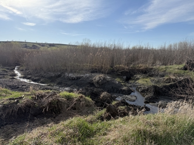 Nebraska Hunting Property For Sale - image 14