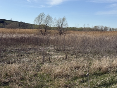 Nebraska Hunting Property For Sale - image 8