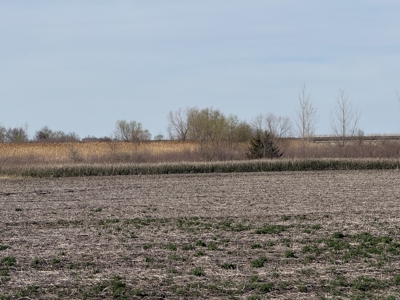 Nebraska Hunting Property For Sale - image 17