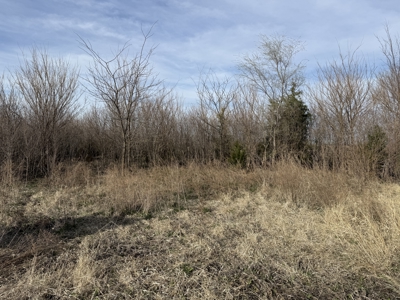 Nebraska Hunting Property For Sale - image 6