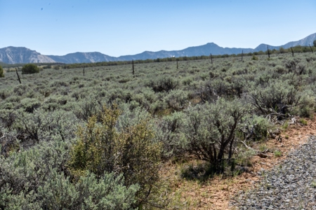 Western Colorado Land For Sale - image 8