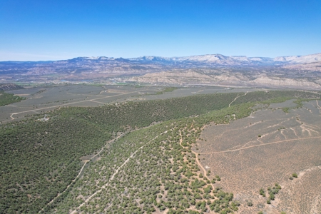 Western Colorado Land For Sale - image 7
