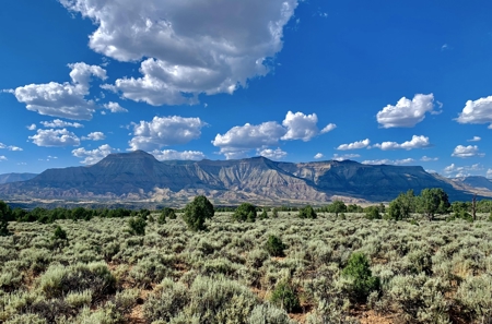 Western Colorado Land For Sale - image 5