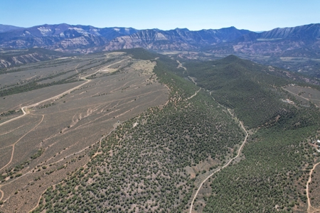 Western Colorado Land For Sale - image 3