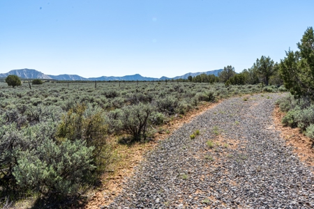 Western Colorado Land For Sale - image 17
