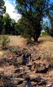 Western Colorado Land For Sale - image 24