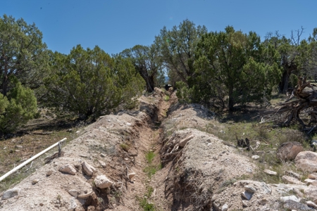 Western Colorado Land For Sale - image 21