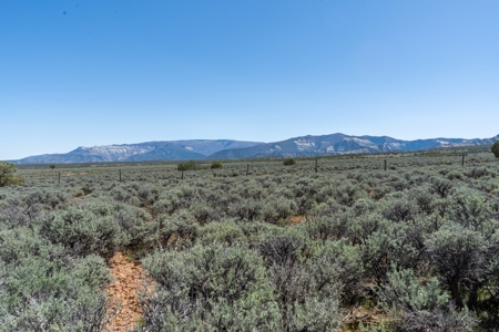 Western Colorado Land For Sale - image 9