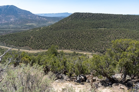 Western Colorado Land For Sale - image 10