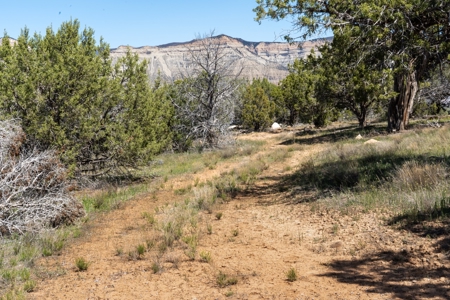 Western Colorado Land For Sale - image 13