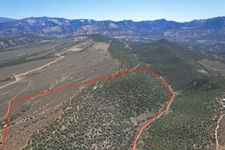 Western Colorado Land For Sale - image 4