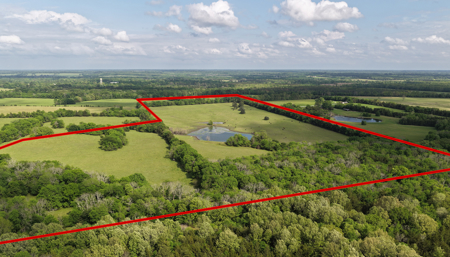 Prime 102-Acre Ranch & Recreational Retreat, Red River County, TX - image 6