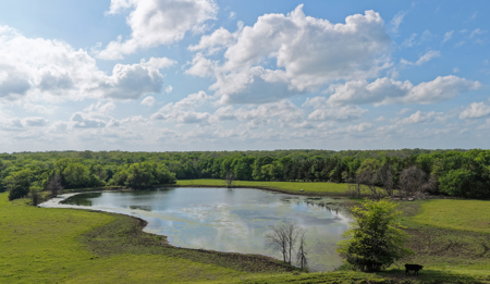 Prime 102-Acre Ranch & Recreational Retreat, Red River County, TX - image 11