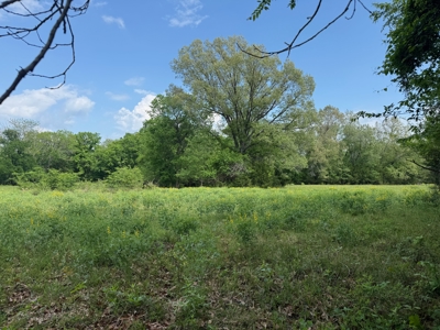 Prime 102-Acre Ranch & Recreational Retreat, Red River County, TX - image 8