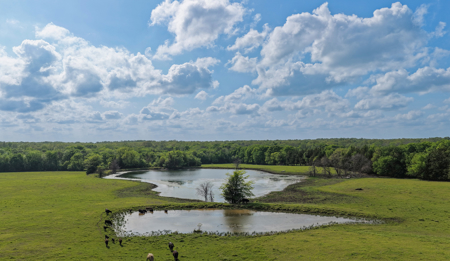 Prime 102-Acre Ranch & Recreational Retreat, Red River County, TX - image 10