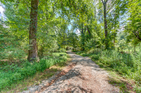 Peaceful Agricultural Land with Creek – Build Your Dream Home in - image 8