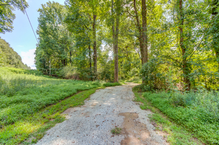 Peaceful Agricultural Land with Creek – Build Your Dream Home in - image 9