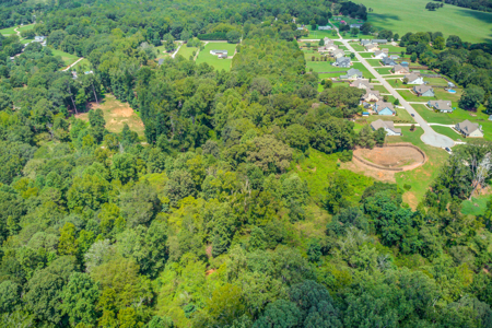 Peaceful Agricultural Land with Creek – Build Your Dream Home in - image 18