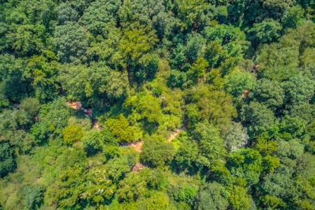 Peaceful Agricultural Land with Creek – Build Your Dream Home in - image 16