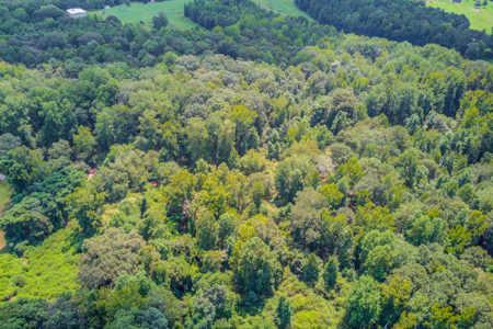 Peaceful Agricultural Land with Creek – Build Your Dream Home in - image 15
