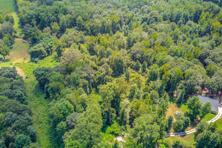 Peaceful Agricultural Land with Creek – Build Your Dream Home in - image 14