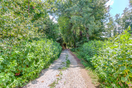Peaceful Agricultural Land with Creek – Build Your Dream Home in - image 6